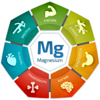A deep dive into Types of Magnesium Supplements and Deciphering the Best Magnesium Supplement for You!